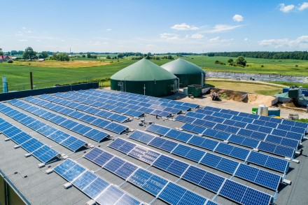 „Green Genius“ priėmė sprendimą trauktis iš Baltarusijos rinkos