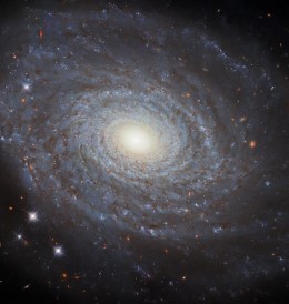Hablo teleskopo užfiksuota nuostabaus detalumo spiralinė galaktika NGC 691