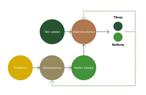 Generatyvinio besivaržančiojo tinklo schema / Žurnalas „Spectrum“