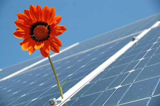 Saulės elektrinės verslui: laukti paramos nebėra prasmės