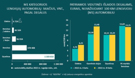 LEA: važiuoti naudojant elektros energiją du kartus pigiau LEA: važiuoti naudojant elektros energiją du kartus pigiau