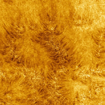 Pirmieji Saulės chromosferos vaizdai / NSO/AURA/NSF
