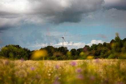 „Ignitis renewables“ nuotr.