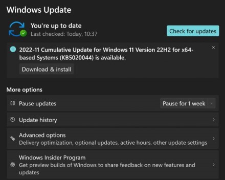 „Windows 11 22H2“ sukėlė problemas su žaidimų sparta, „Microsoft“ jau siūlo pataisymą