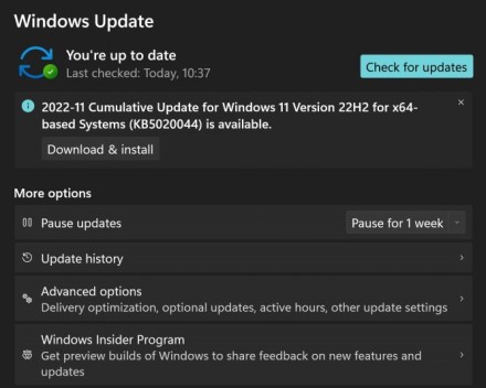 „Windows 11 22H2“ sukėlė problemas su žaidimų sparta, „Microsoft“ jau siūlo pataisymą „Windows 11 22H2“ sukėlė problemas su žaidimų sparta, „Microsoft“ jau siūlo pataisymą