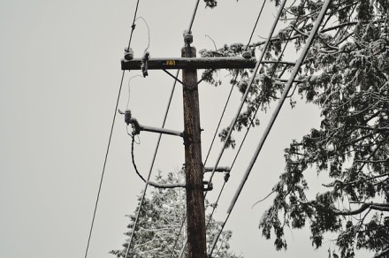 Ką svarbu žinoti, jei vartotojas nori prijungti objektą, apsuptą mišku, prie elektros tinklų?