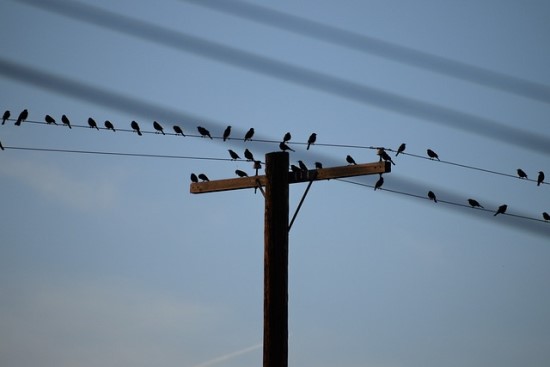 Energetinė krizė Europos Sąjungoje: priežastys ir pasekmės