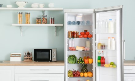 Šaldytuvai su „No Frost“ sistema: kaip išsirinkti?