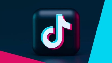 „TikTok“ kūrėjams sumokės įspūdingą sumą: paskelbtos dvi specialios programos