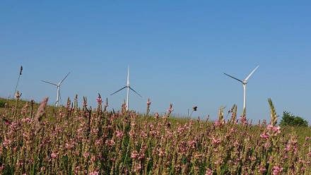 Mažėjant vėjo ir hidroelektrinių gamybai, gegužę saulės elektrinės gerino rekordus