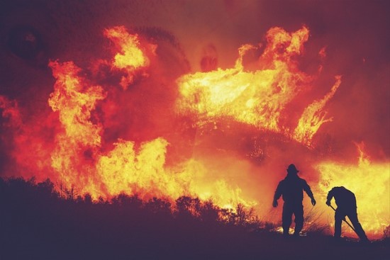 Dirbtinis intelektas padeda užkirsti kelią miškų gaisrams Kalifornijoje