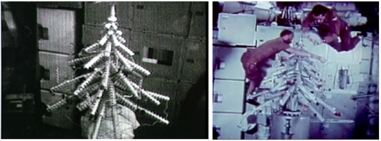 „Skylab“ eglutė / NASA nuotr.