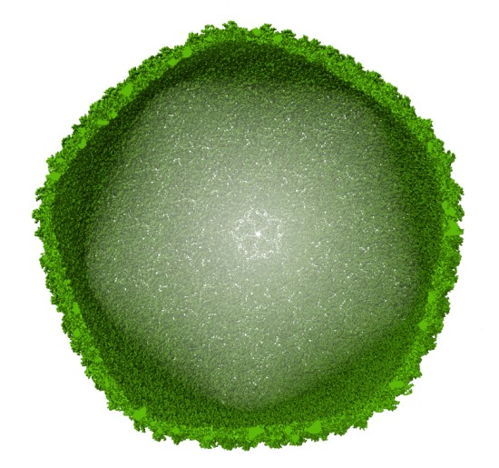 Viruso kapsidės krio-EM žemėlapis. Dr. G. Sasnausko asmenis archyvas