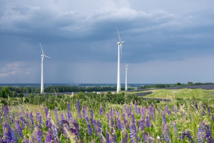 „Ignitis Renewables" nuotrauka „Ignitis Renewables" nuotrauka
