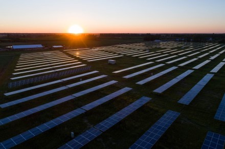 „Hesburger“ tinklas Lietuvoje pereina prie 100 proc. saulės energijos „Hesburger“ tinklas Lietuvoje pereina prie 100 proc. saulės energijos