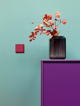 „Les Couleurs® Le Corbusier“. JUNG nuotr.