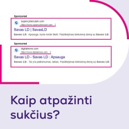 „Lietuvos draudimo“ nuotr.