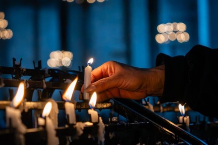 Asociatyvi „Bitė Lietuva“ nuotr. Asociatyvi „Bitė Lietuva“ nuotr.