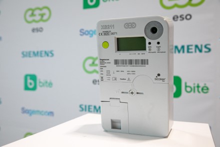 „Bitė Lietuva“ nuotr.