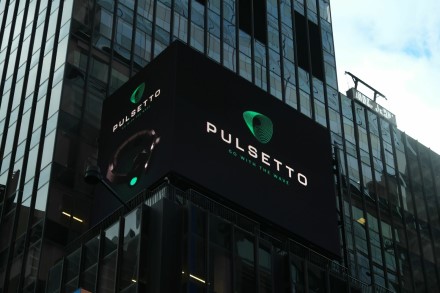 „Deloitte“ įvardijo „Pulsetto“ jaunų technologijų įmonių lydere Vidurio Europoje