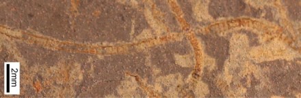 Asociatyvi nuotr. Asociatyvi nuotr.