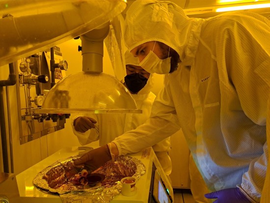 Asmeninio albumo nuotr. / Luko Šalavėjaus sukurtas lustas Asmeninio albumo nuotr. / Luko Šalavėjaus sukurtas lustas