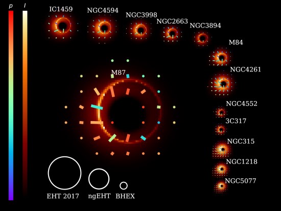 M87* ir dvylikos kitų supermasyvių juodųjų skylių šešėlių dydžių palyginimas. Šaltinis: Zhang et al. (2024), arXiv:2406.17754