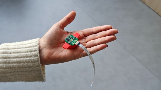 Jutiklis. FTMC nuotr.