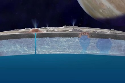 NASA atradimas: Jupiterio palydove Europa aptikta medžiaga, galinti rodyti gyvybės ženklus