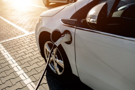 Pranešimo autorių pateikta nuotr. Pranešimo autorių pateikta nuotr.