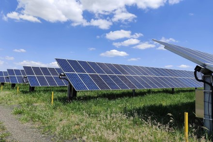 Asociatyvi nuotrauka