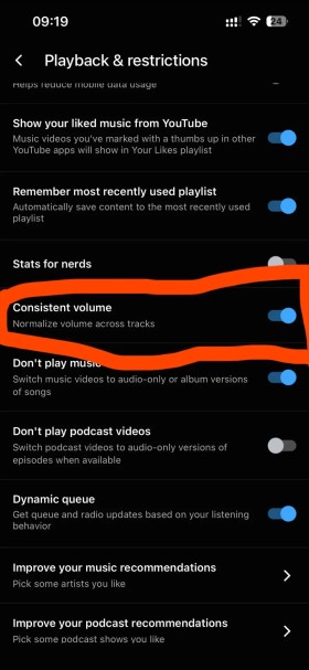 „YouTube Music“ netrukus gaus ilgai lauktą garso funkciją