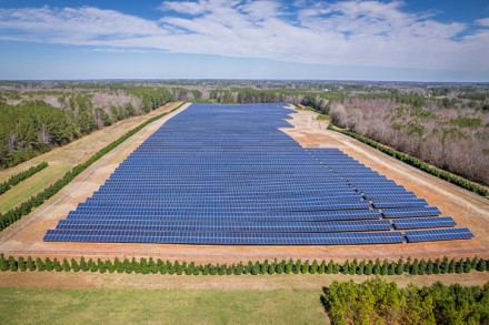 Antrą mėnesį iš eilės saulės elektrinės pagamino rekordinį energijos kiekį – 48 proc. visos vietinės elektros Antrą mėnesį iš eilės saulės elektrinės pagamino rekordinį energijos kiekį – 48 proc. visos vietinės elektros