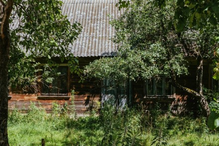 Asociatyvi „Pexels“ nuotr. Asociatyvi „Pexels“ nuotr.